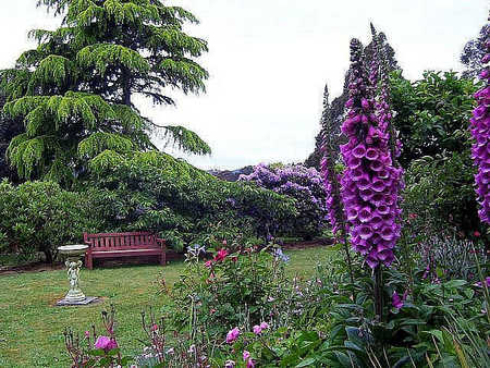 Donalea Bed & Breakfast - SA Accommodation 4