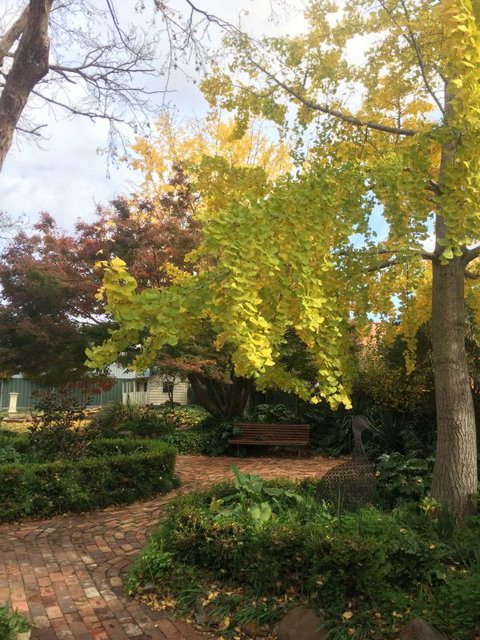 Cawarra On The Park - SA Accommodation 5