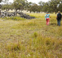 Carnarvon National Park camping - SA Accommodation