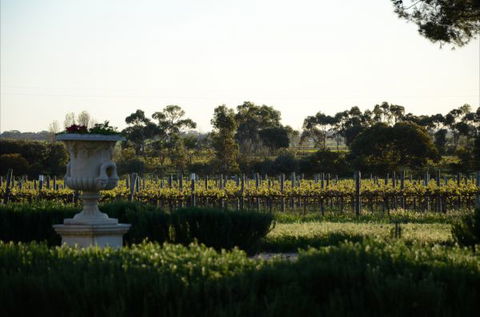 Angas Plains Estate Wines Heritage Suite - SA Accommodation 6