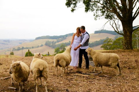 Halcyon Cottage Retreat - Self Contained Accommodation - SA Accommodation 2