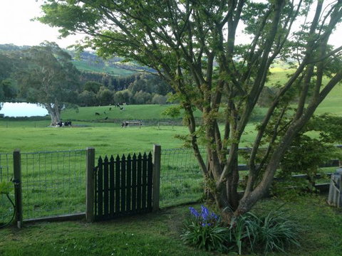 Halcyon Cottage Retreat - Self Contained Accommodation - SA Accommodation 7