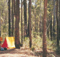 Nanga Mill Camp at Lane Poole Reserve - SA Accommodation
