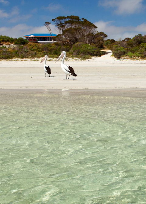 Kangaroo Island Star Beach House - SA Accommodation 4