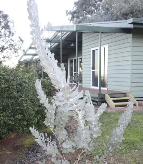 Kurringai Cottage - SA Accommodation 2