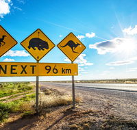 Nullarbor Roadhouse - SA Accommodation