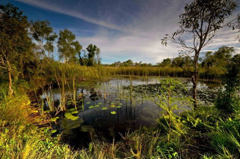 Banana Well Getaway - SA Accommodation 5