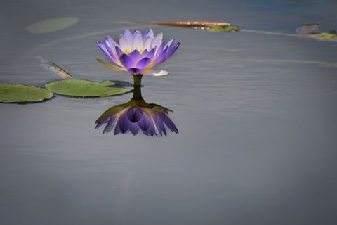 Banana Well Getaway - SA Accommodation 6