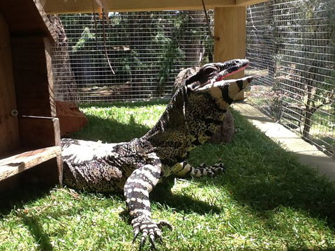 Beechworth Wildlife Stays - SA Accommodation 6