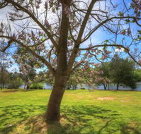Breakaway Twin Rivers Caravan Park - SA Accommodation