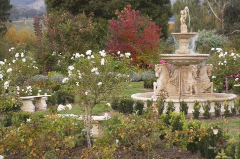 Brookfield Guesthouse - SA Accommodation 5