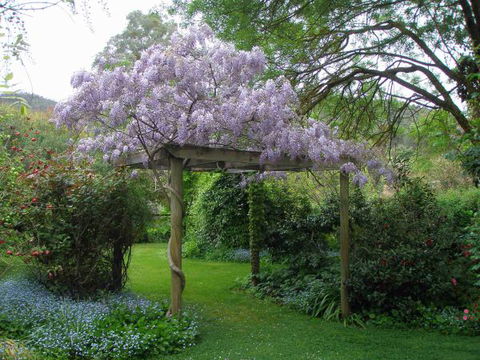 Brookfield Guesthouse - SA Accommodation 8