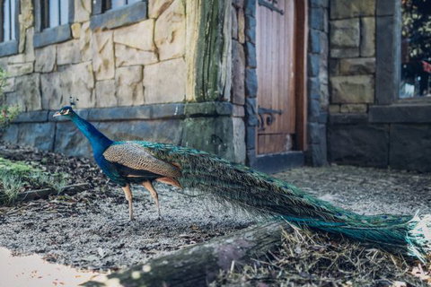 Castle Suites - Kryal Castle - SA Accommodation 5