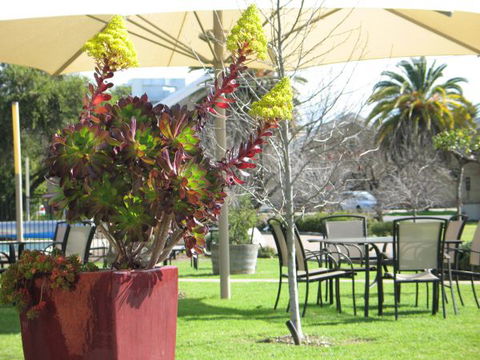 Golden Chain Wine Village Motor Inn - SA Accommodation 3