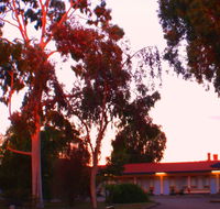 Murray Bridge Central Olympic Motel and Cottages - SA Accommodation