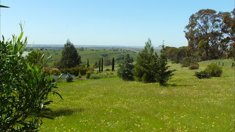 Jonathan Art Centre - Jarramarrumba House - SA Accommodation 0