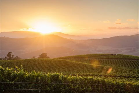 Mt Bellevue Lodge - King Valley - SA Accommodation 1