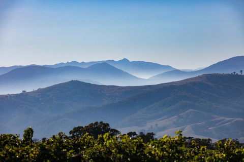 Mt Bellevue Lodge - King Valley - SA Accommodation 4