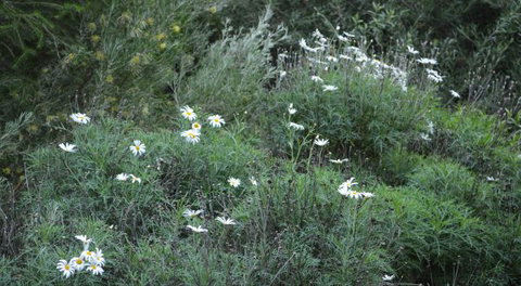 Northam Caravan Park - SA Accommodation 2