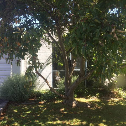 Sea-Ena - SA Accommodation 2