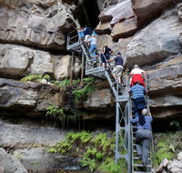 Takarakka Bush Resort Carnarvon Gorge - SA Accommodation