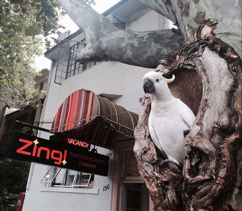 Zing! Backpackers Hostel - SA Accommodation 0