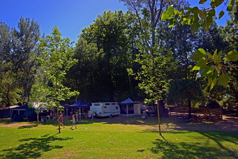 Ardern's Caravan Park Myrtleford - SA Accommodation 0