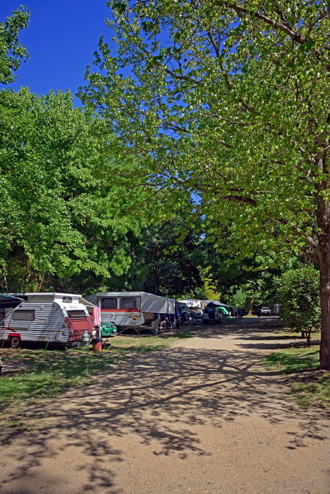 Ardern's Caravan Park Myrtleford - SA Accommodation 1