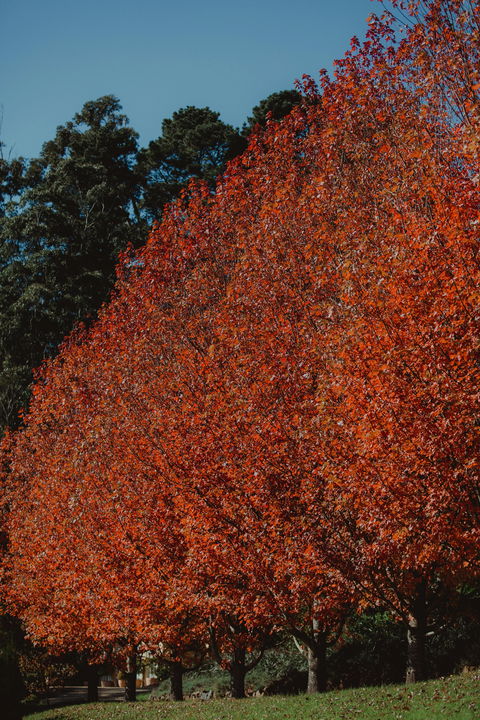 Dennarque Estate - SA Accommodation 6