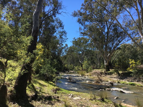 Highfield Farm And Woodland Bush Campsites - SA Accommodation 0