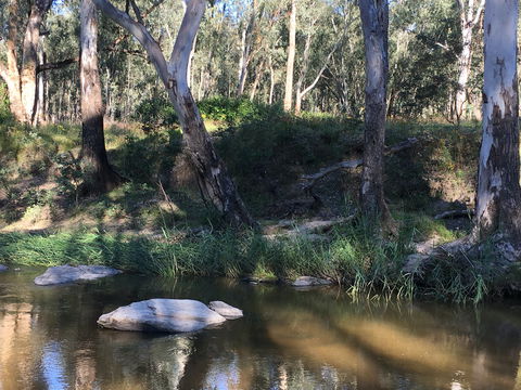 Highfield Farm And Woodland Bush Campsites - SA Accommodation 1