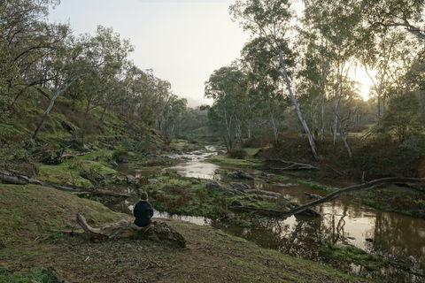 Highfield Farm And Woodland Bush Campsites - SA Accommodation 2
