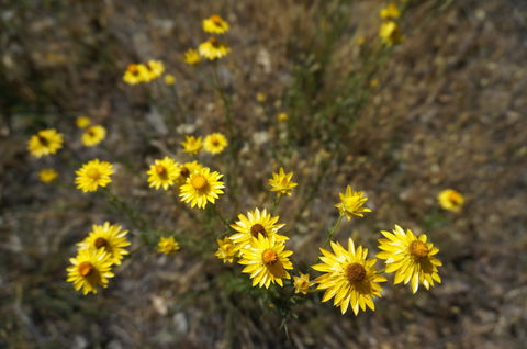 Highfield Farm And Woodland Bush Campsites - SA Accommodation 3