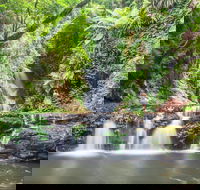 O'Reilly's Rainforest Retreat - SA Accommodation