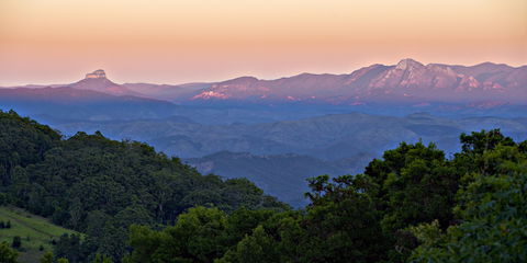 O'Reilly's Rainforest Retreat - SA Accommodation 1