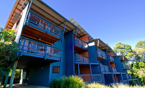 O'Reilly's Rainforest Retreat - SA Accommodation 7