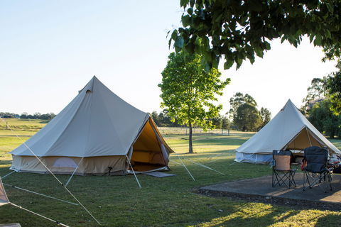 Percy's Place Caravan Park - SA Accommodation 1