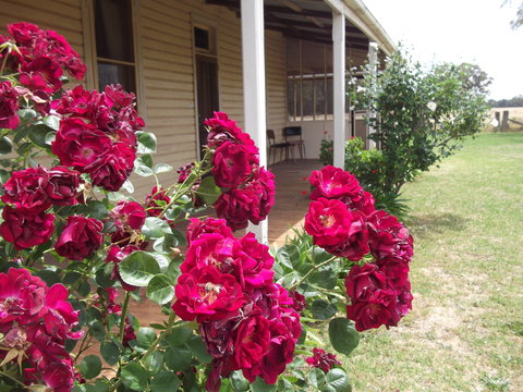 Savernake Farm Stay - SA Accommodation 5