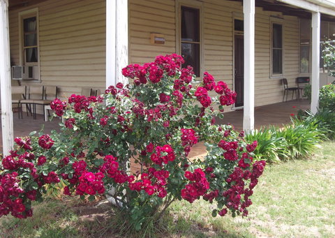 Savernake Farm Stay - SA Accommodation 6