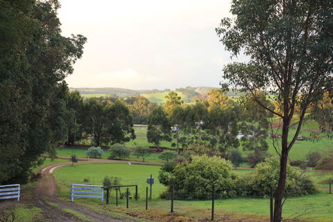 Blue House Bed And Breakfast - SA Accommodation 2