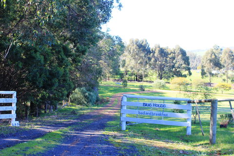 Blue House Bed And Breakfast - SA Accommodation 3