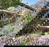 Capertee Homestead - 'Port Macquarie' - SA Accommodation