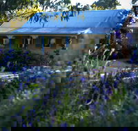 Donnybrook Cottage - Clare - SA Accommodation