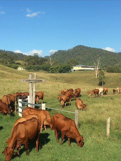 Farringdon Homestead - SA Accommodation 0