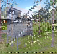 Gold Coast Tree Houses - SA Accommodation