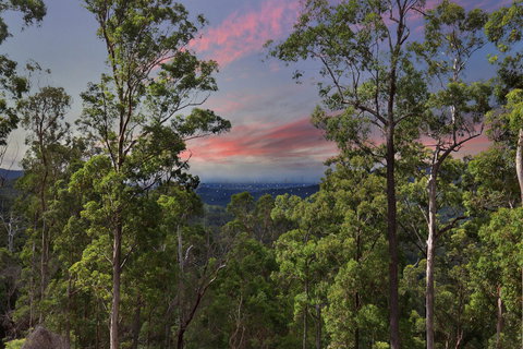 Gold Coast Tree Houses - SA Accommodation 2