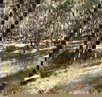 Greenbah campground - SA Accommodation