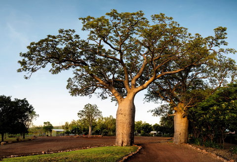 Home Valley Station - SA Accommodation 5