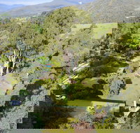 Kiewa Country Cottages - SA Accommodation