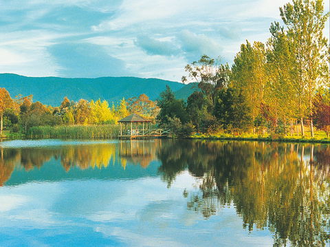 Kingbilli - SA Accommodation 0